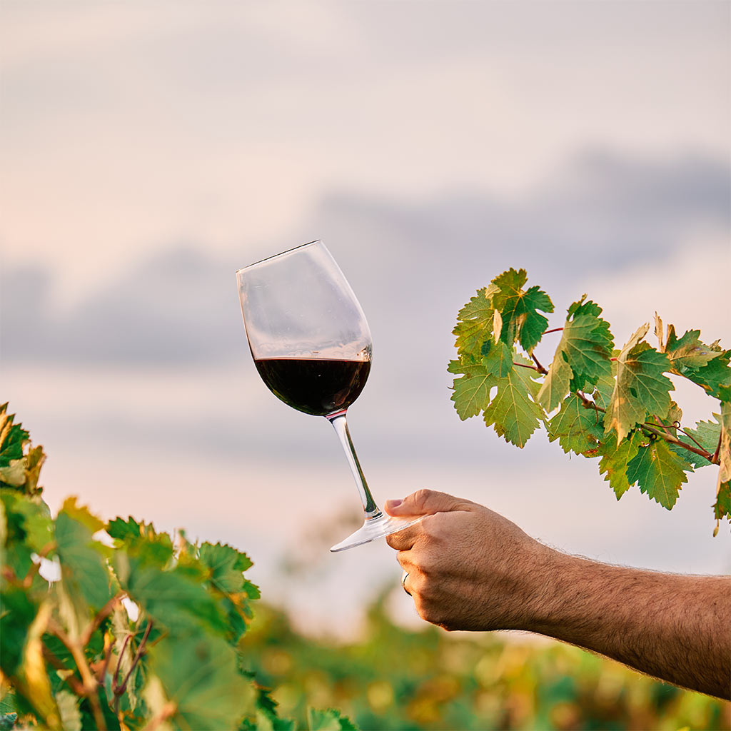 Masterclass: Tramandare un valore – Tiberi e Conti Salvatori