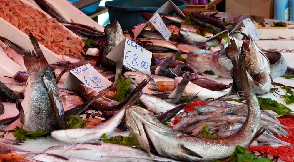 close-up-fresh-fish-sale-market close-up-fresh-fish-sale-market