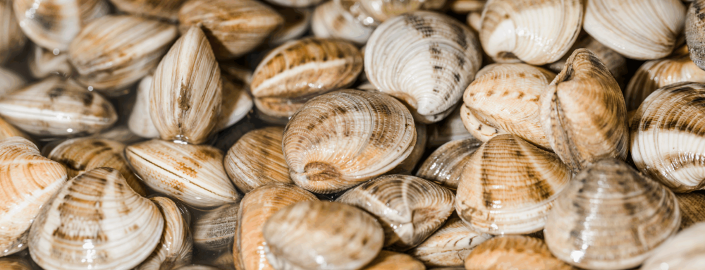 frutti_di_mare_vigilia_di_natale