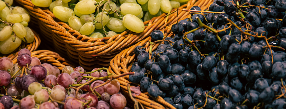 vendemmia-uva vendemmia-uva